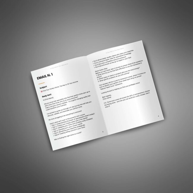 6-Day Path to Your Ideal Niche - Image 3