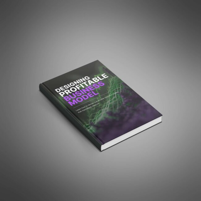 Designing a Profitable Business Model - Ebook - Image 2