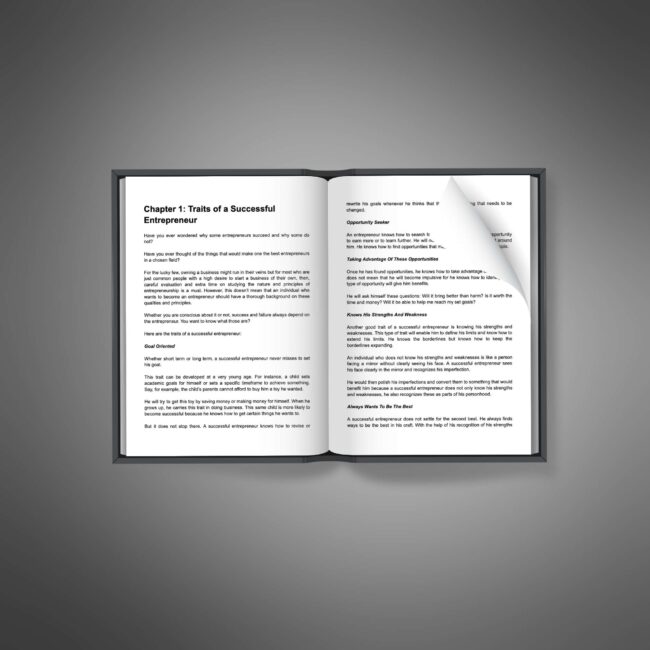 Powerful Entrepreneur - Image 3