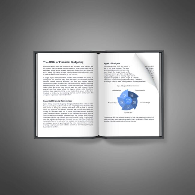 Small Business Budgeting - Image 3
